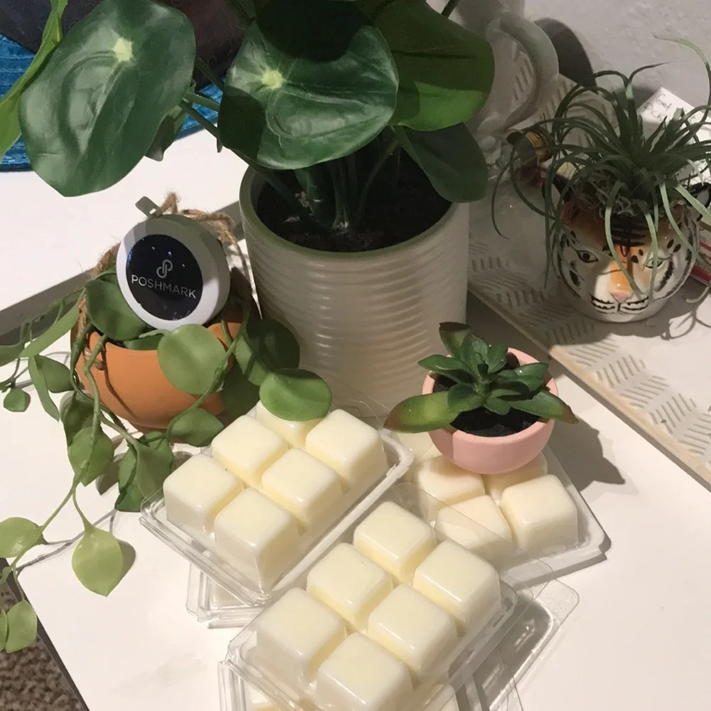 Scents Wax Melts Beach Sand Vibe Salted Seas Hand Crafted Final Sale